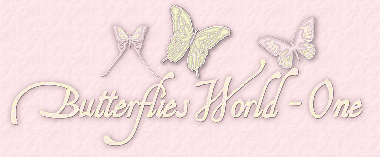 Butterflies World
Logo