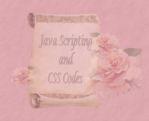 Java Scripting and CSS Codes