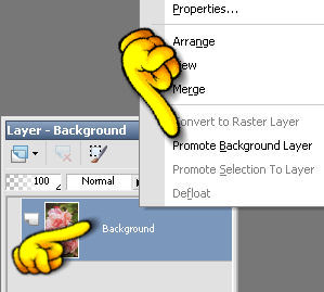 Layer Palette Settings