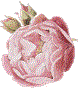 Rose Image