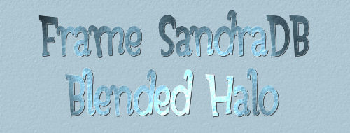 Frame SandraDB Logo
