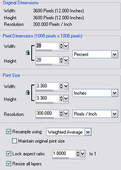 Resize Settings