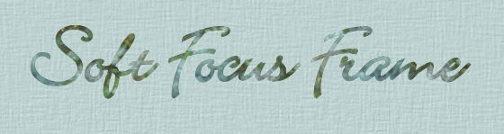 Soft Focus Logo