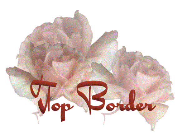 Top Border Logo