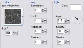 sdm_texture Settings